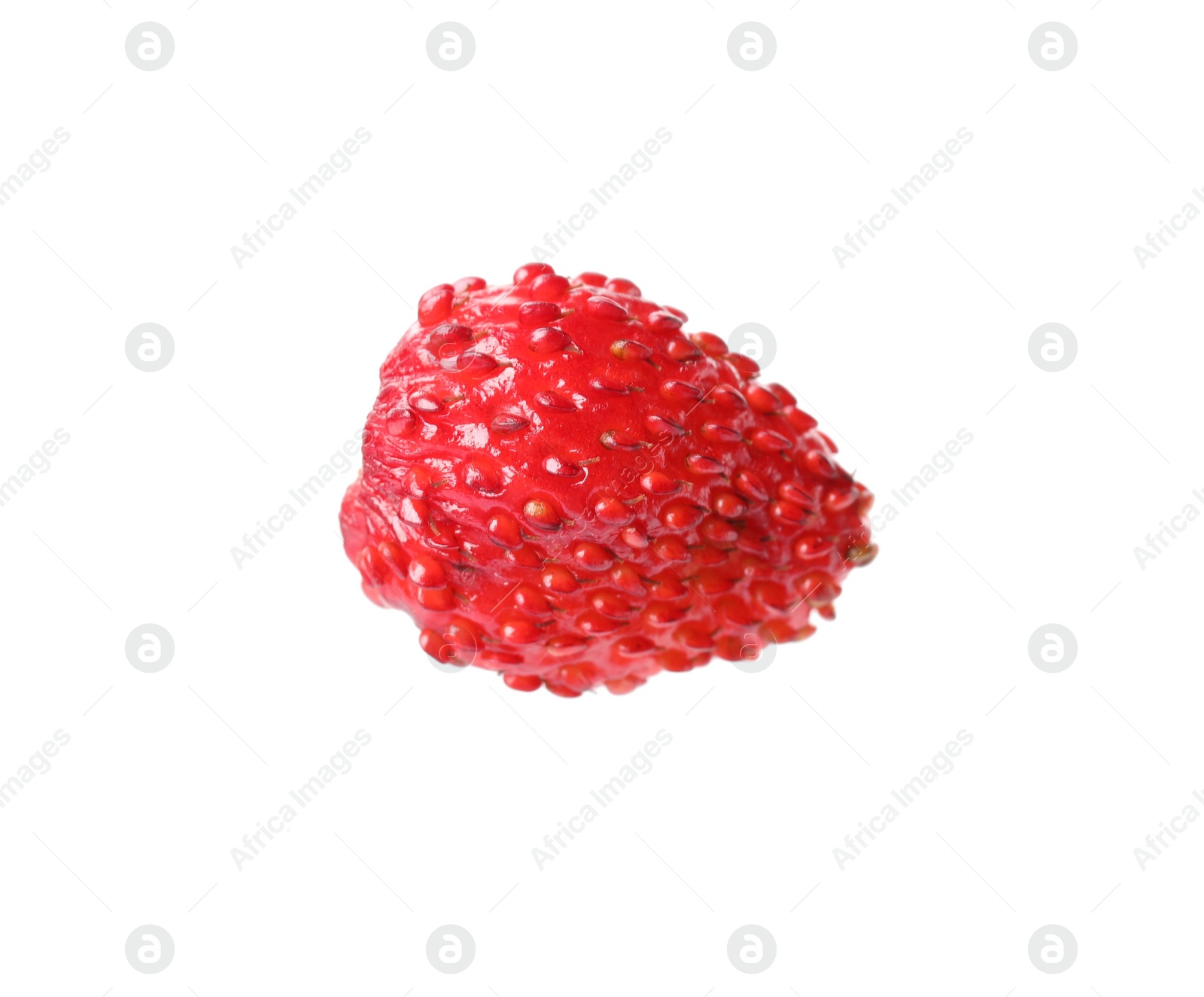 Photo of One ripe wild strawberry isolated on white