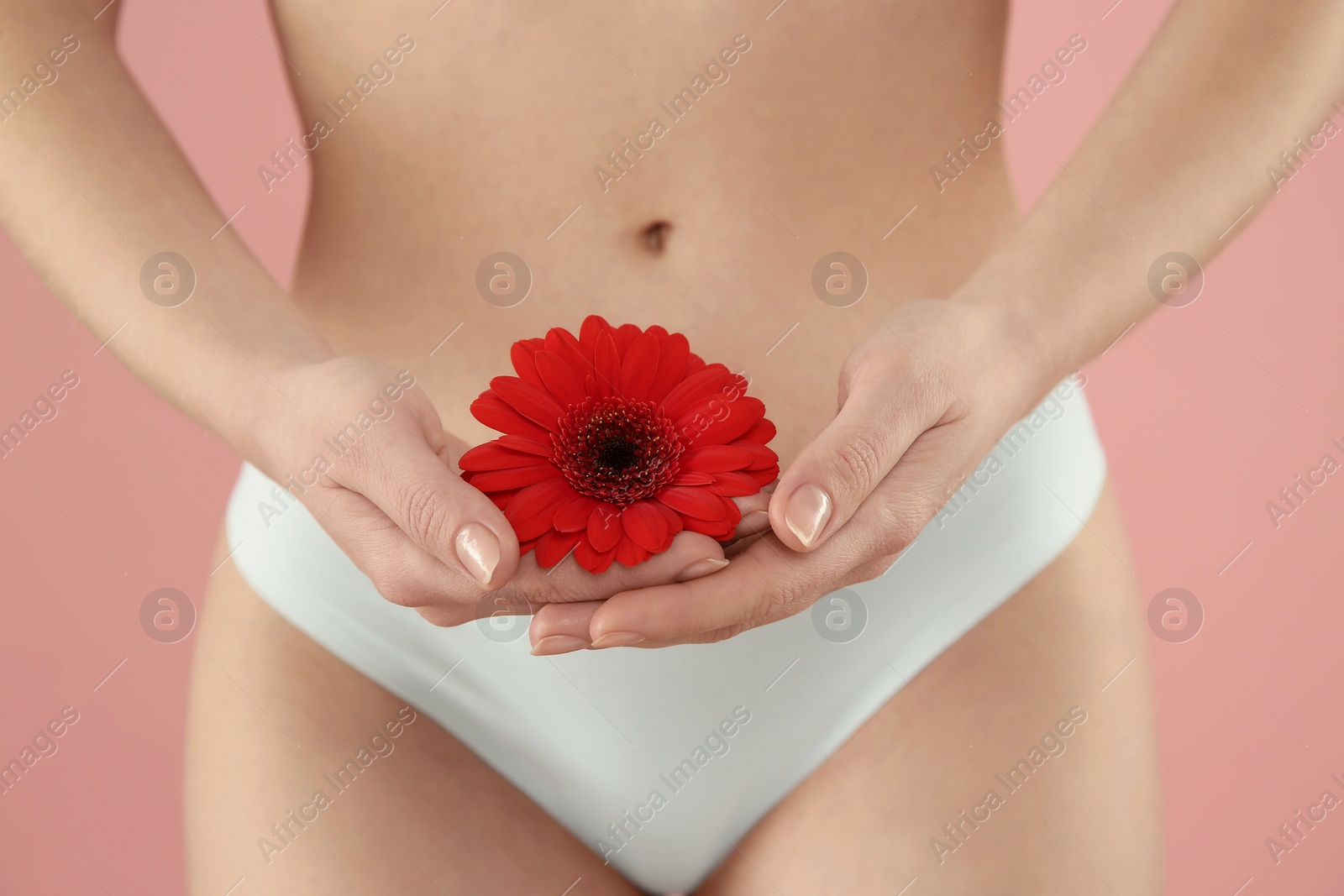 Photo of Gynecology. Woman in underwear with gerbera flower on pink background, closeup