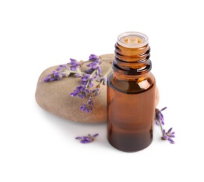 Bottle of essential oil and lavender flowers on white background