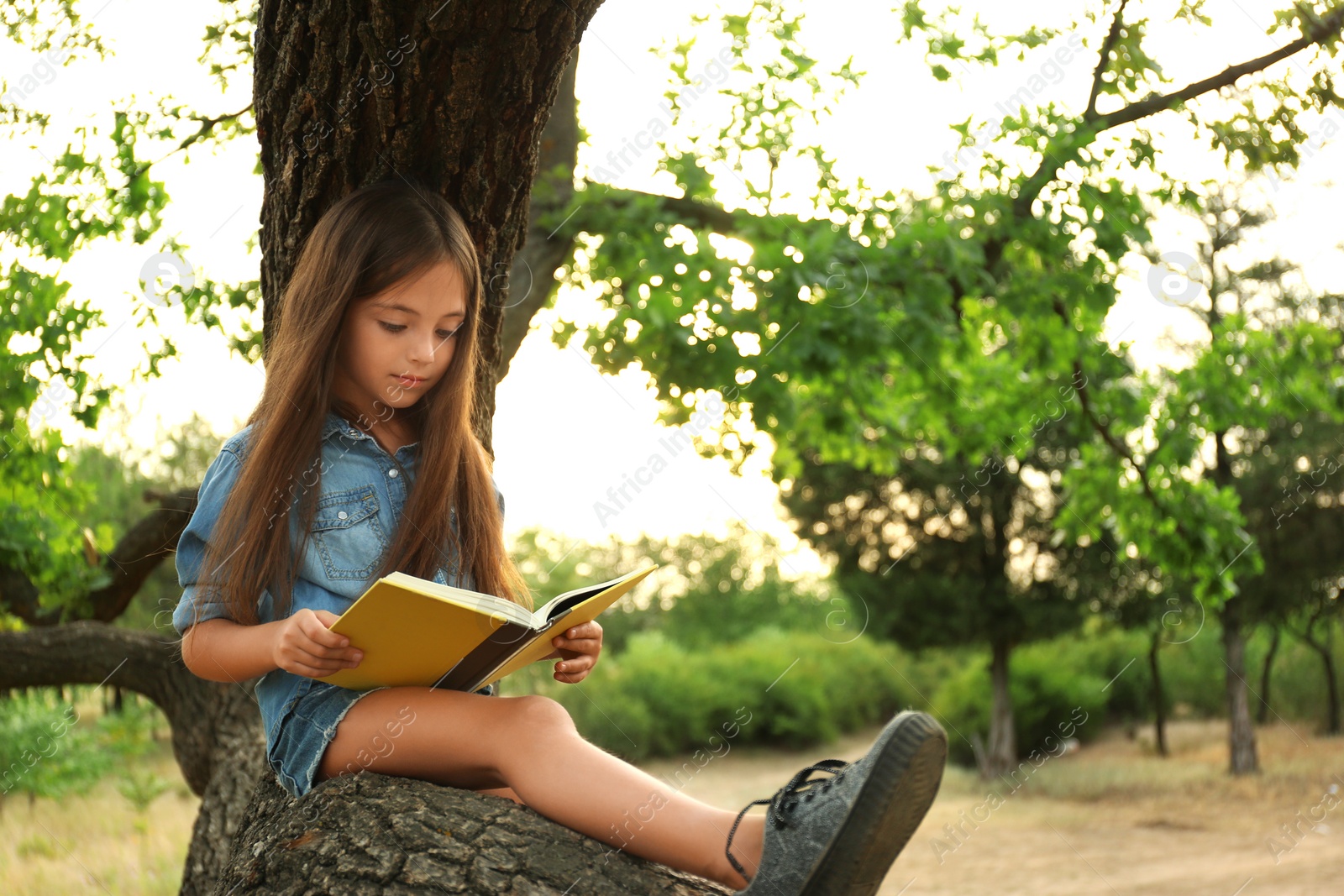 Photo of Cute little girl reading book on tree in park