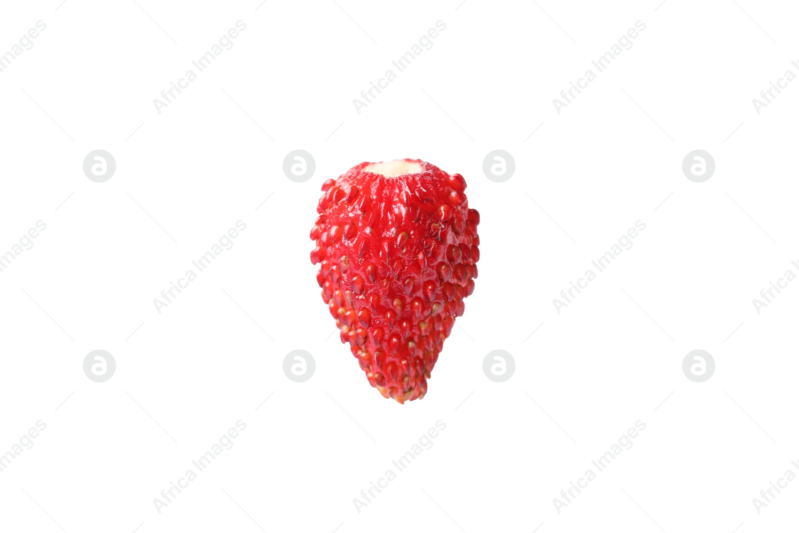 Photo of One ripe wild strawberry isolated on white