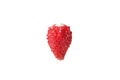One ripe wild strawberry isolated on white