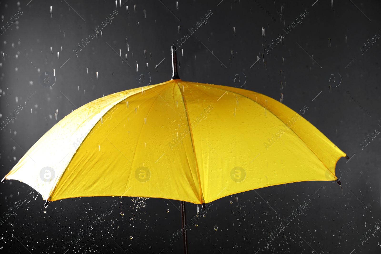 Photo of Bright umbrella under rain on dark background