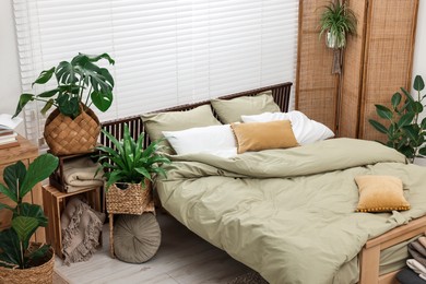 Comfortable bed and beautiful green houseplants in bedroom