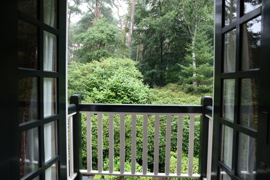 Beautiful forest with many different green plants, view from balcony