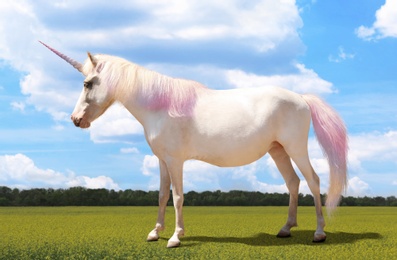 Amazing unicorn with beautiful mane in field on sunny day