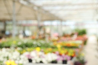 Photo of Blurred view of garden center with many different blooming plants