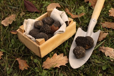 Photo of Wooden crate and shovel with fresh truffles on green grass