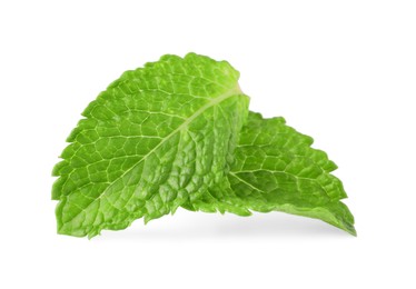 Fresh green mint leaves isolated on white