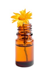 Photo of Bottle of essential oil and golden aster flower on white background