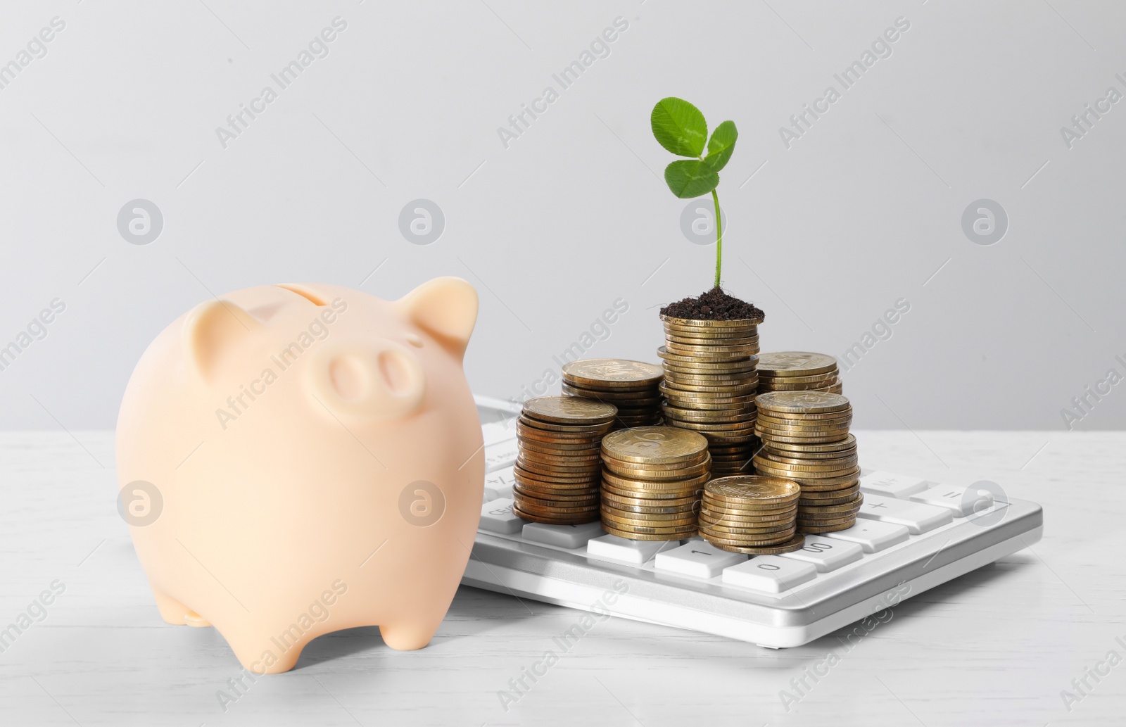 Photo of Stacks of coins with green sprout and piggy bank on white table against light grey background. Investment concept