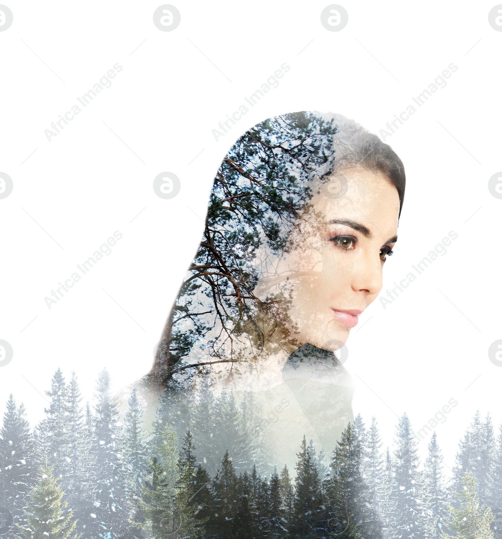 Image of Beautiful woman and pine forest on white background. Double exposure