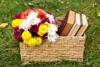 Photo of Wicker basket with beautiful chrysanthemum flowers and books on green grass outdoors