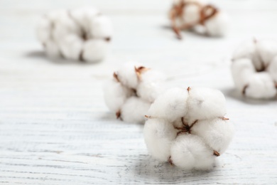 Photo of Fluffy cotton flowers on white wooden background, closeup