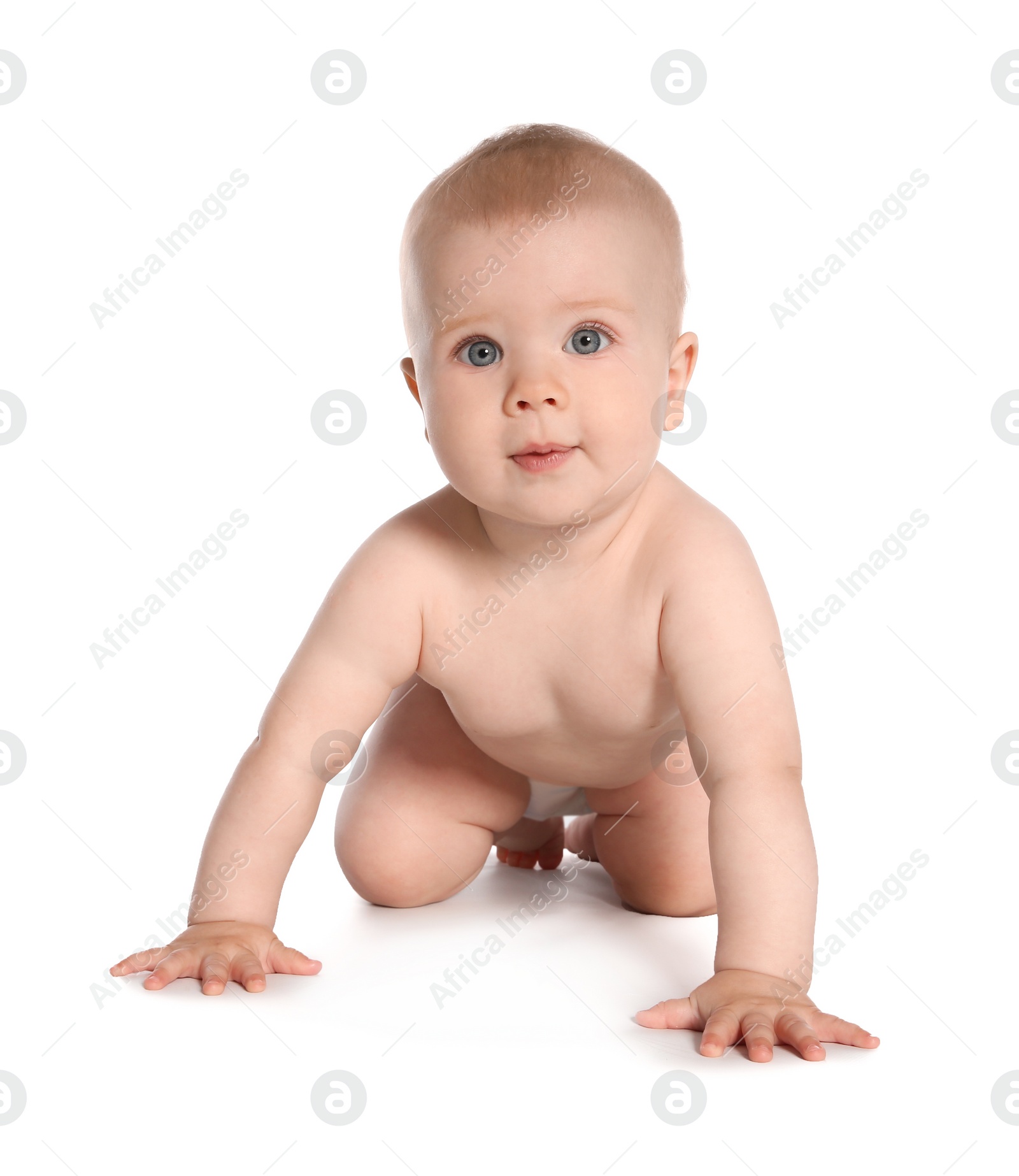 Photo of Cute little baby crawling on white background