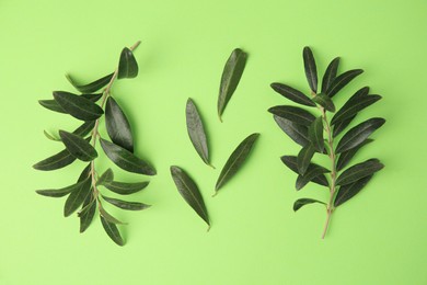Photo of Olive twigs with fresh leaves on light green background, flat lay