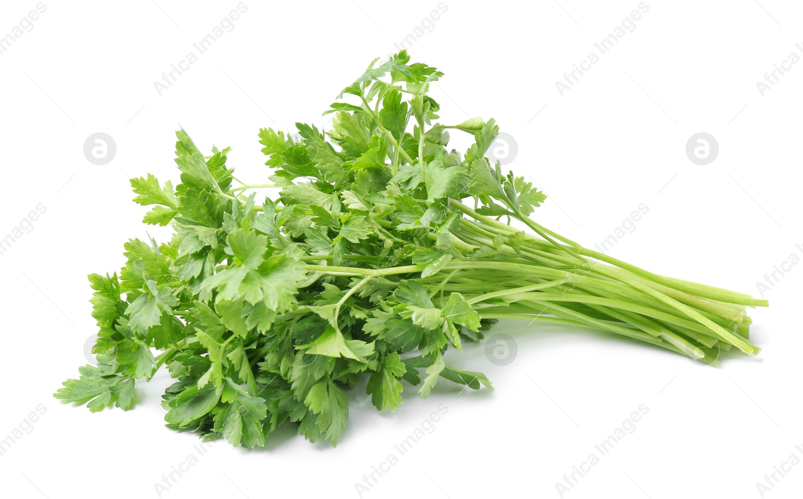 Photo of Fresh green organic parsley on white background