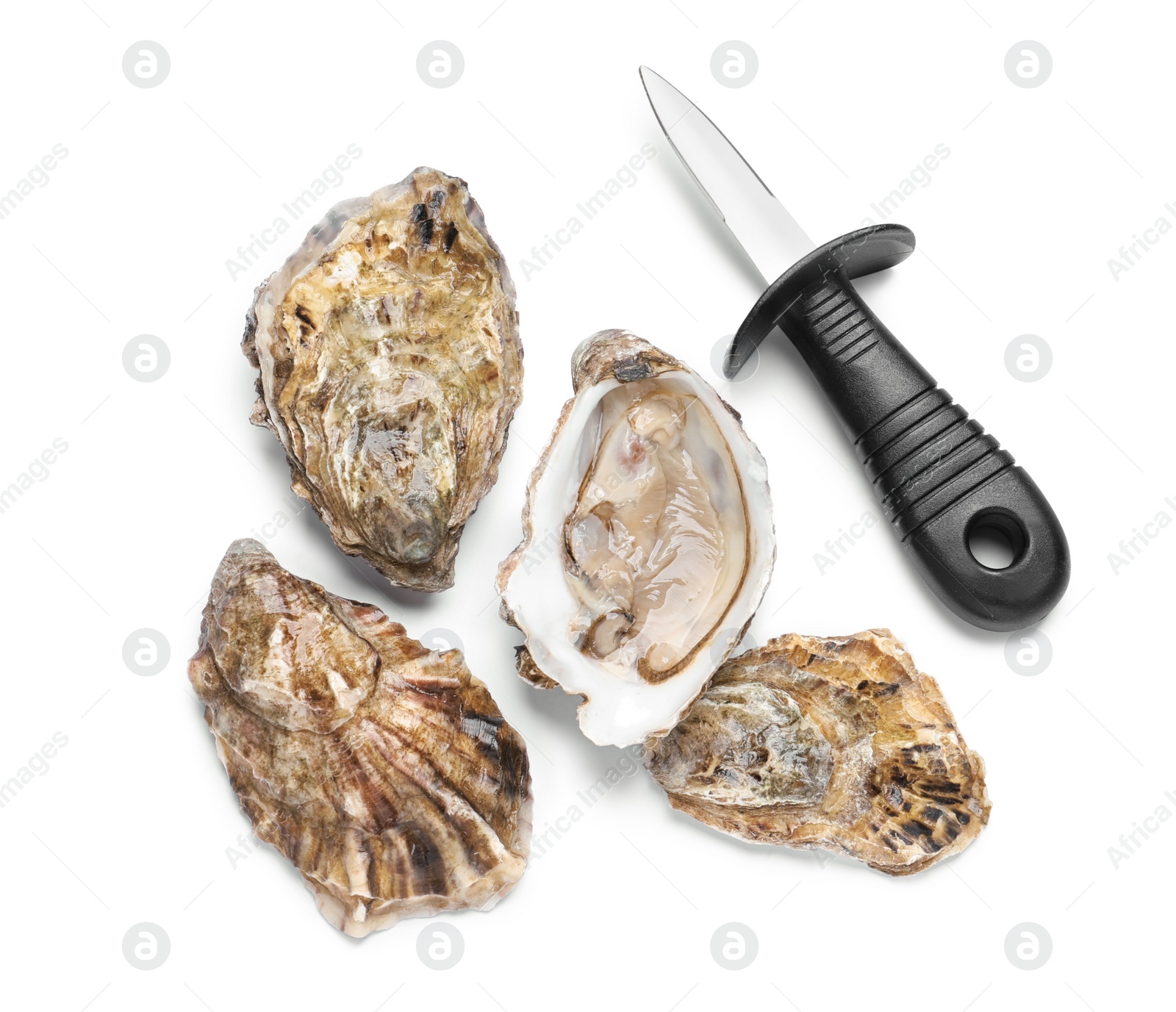 Photo of Fresh raw oysters and knife on white background, top view