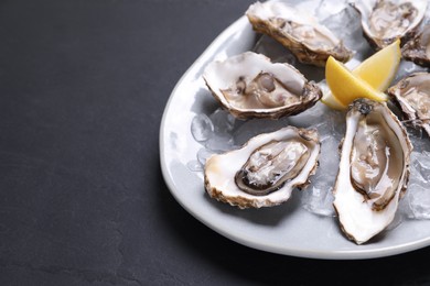 Photo of Delicious fresh oysters with lemon slices served on black slate table, closeup. Space for text