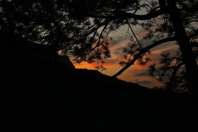 Photo of Picturesque view of big hill and tree at beautiful sunset