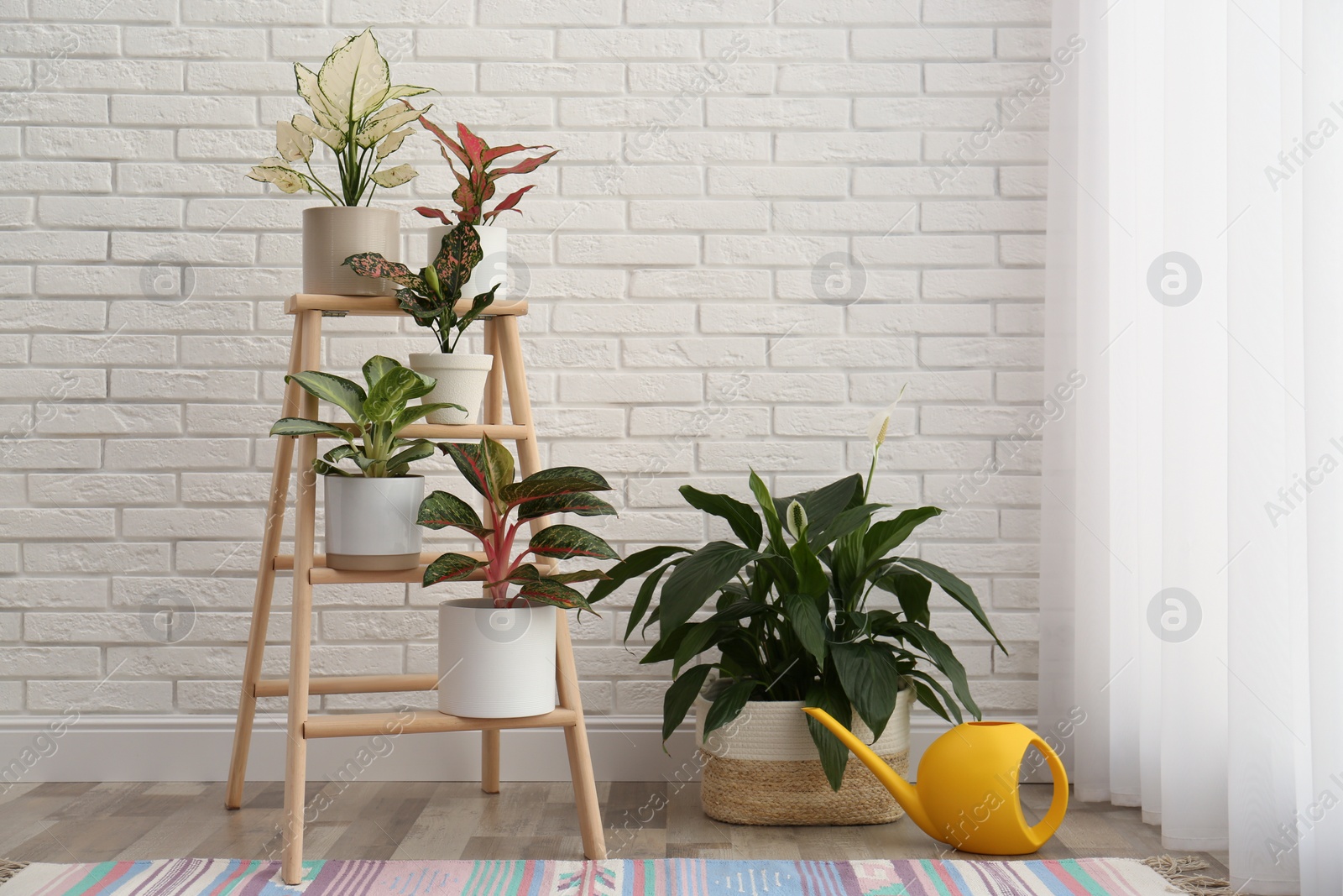 Photo of Exotic houseplants with beautiful leaves and decorative ladder near white brick wall in room
