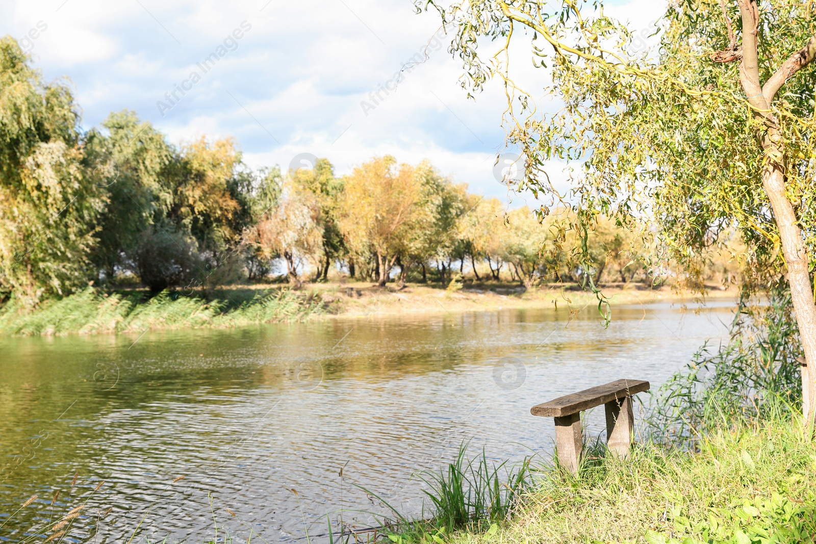 Photo of Wooden bench near river on sunny day. Perfect place for fishing