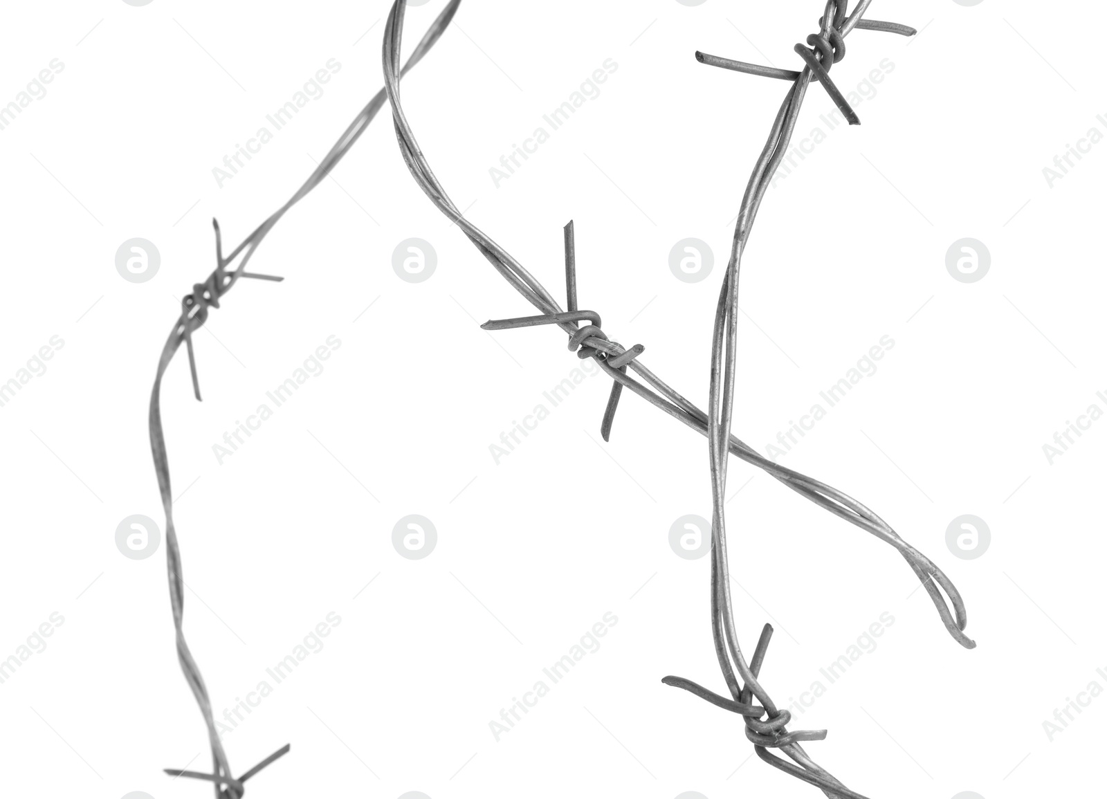 Photo of Shiny metal barbed wire isolated on white