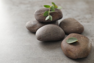 Photo of Spa stones with eucalyptus on color background. Space for text