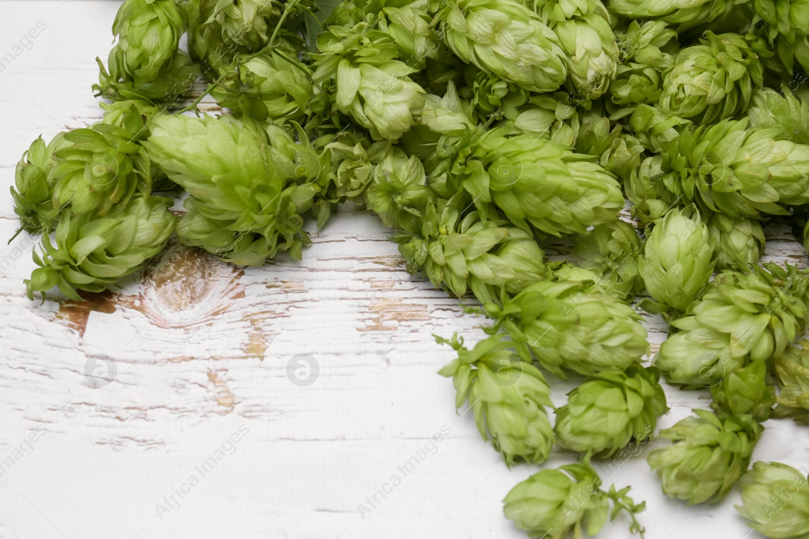 Photo of Fresh green hops on white wooden table, space for text