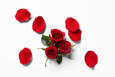 Photo of Beautiful red roses and petals on white background, top view