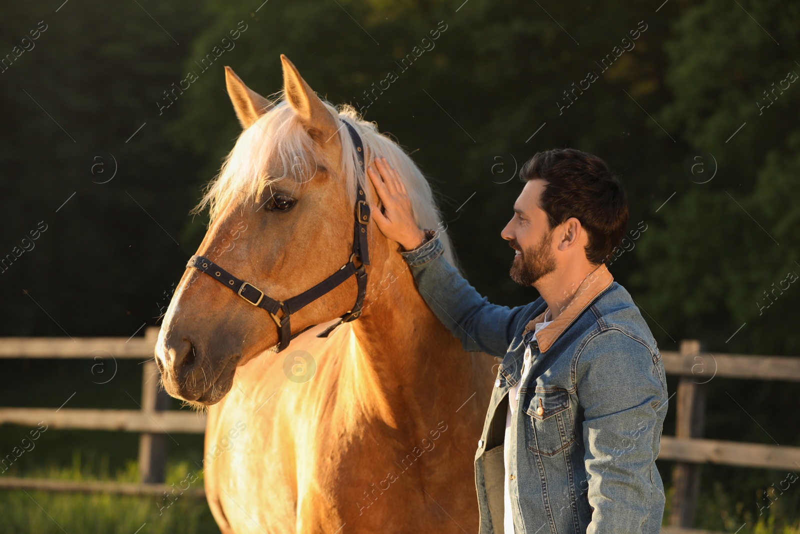 Photo of Man with adorable horse outdoors. Lovely domesticated pet