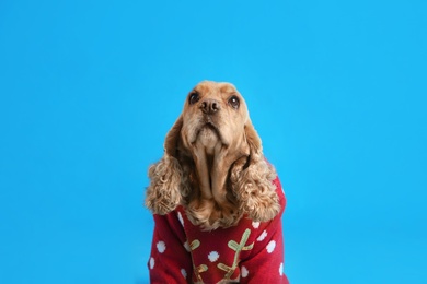 Photo of Adorable Cocker Spaniel in Christmas sweater on light blue background