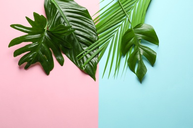 Different tropical leaves on color background, top view
