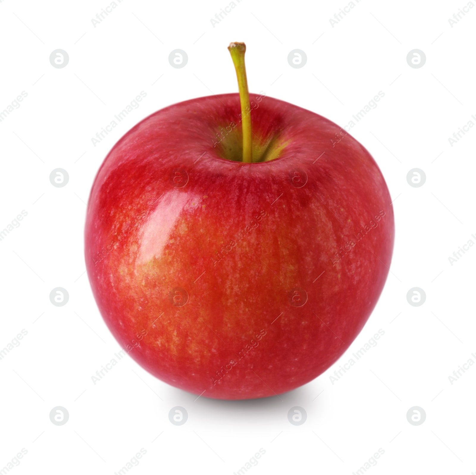 Photo of One ripe red apple isolated on white