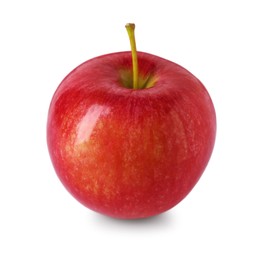 Photo of One ripe red apple isolated on white