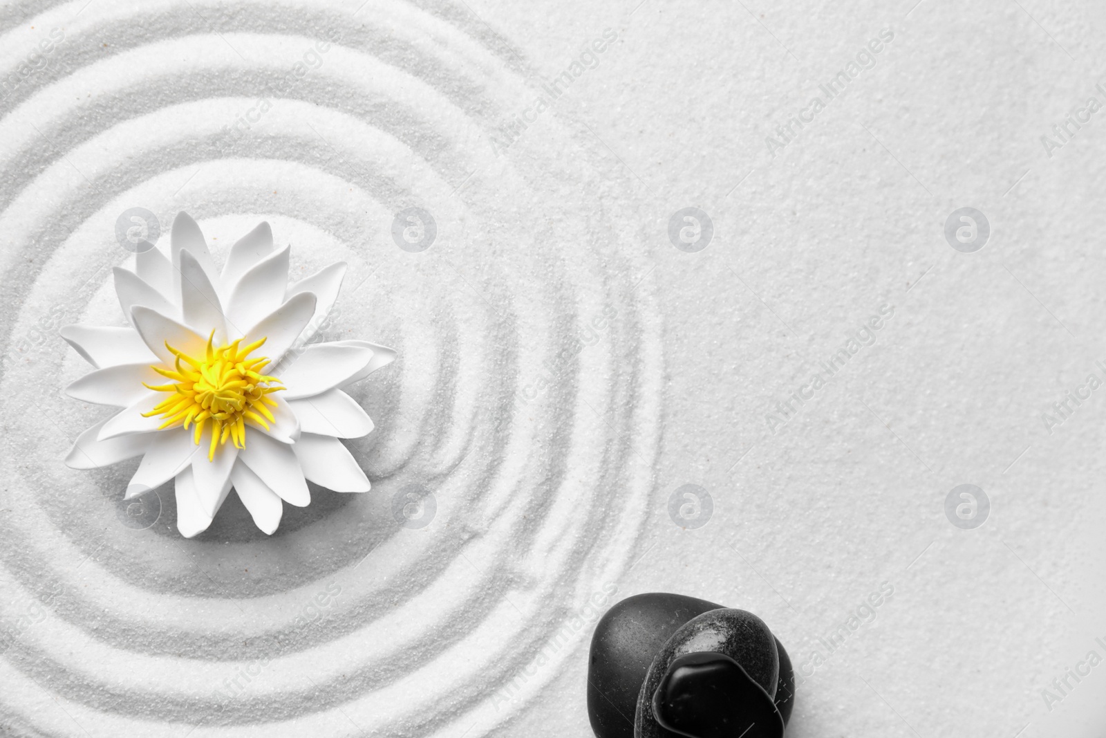 Photo of Zen garden. Beautiful lotus flower, stones and space for text on white sand, flat lay