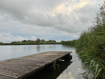 Picturesque view of river reeds and cloudy sky