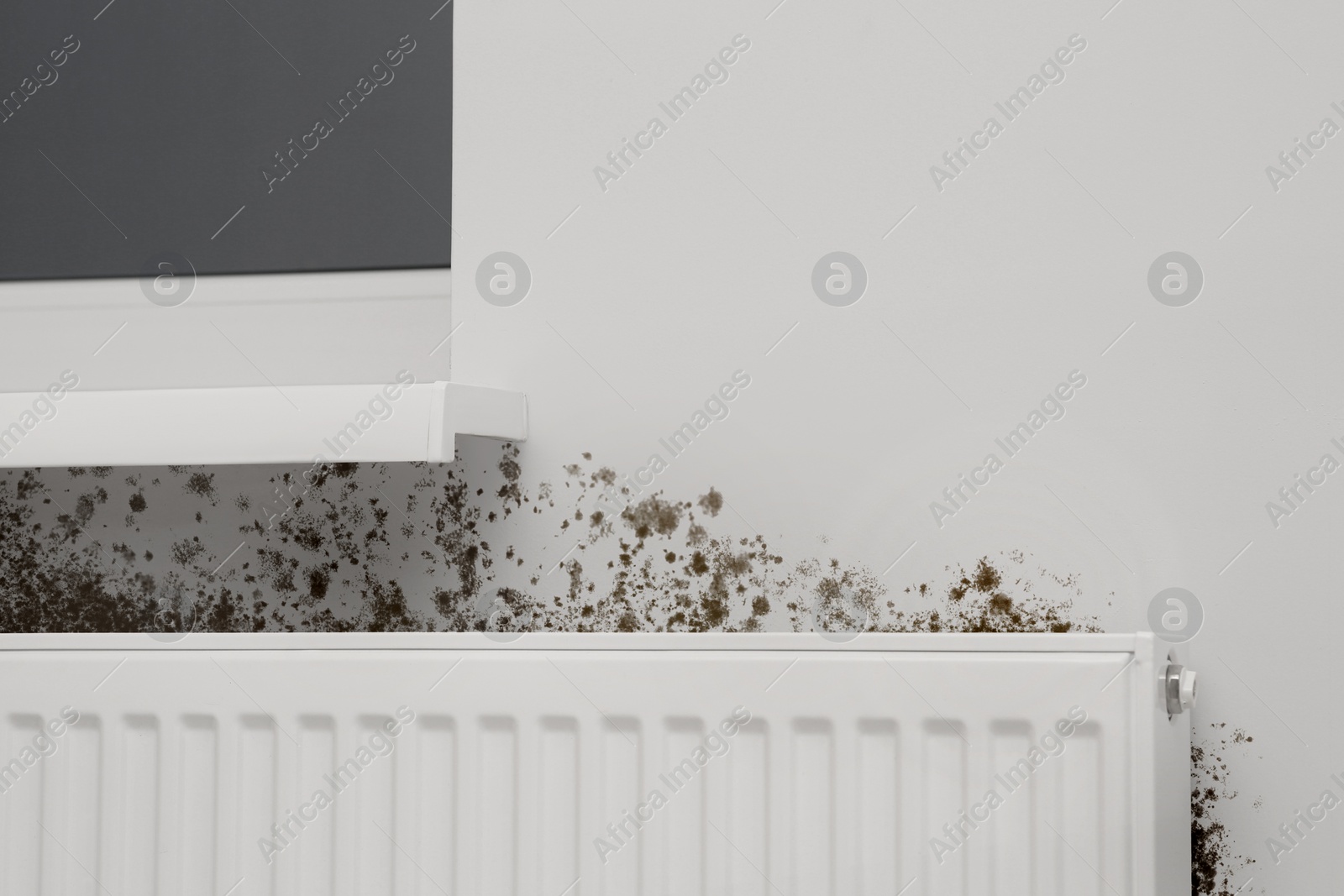 Image of Mold around panel radiator on wall in room