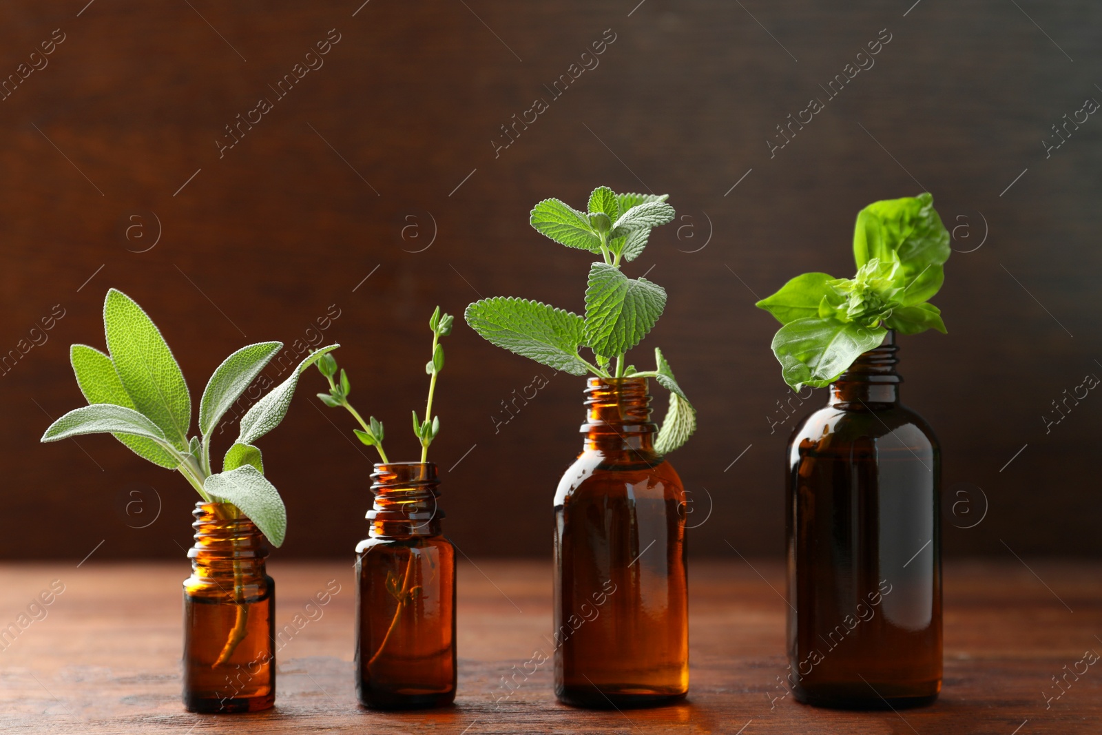 Photo of Bottles of essential oils with fresh herbs on wooden table