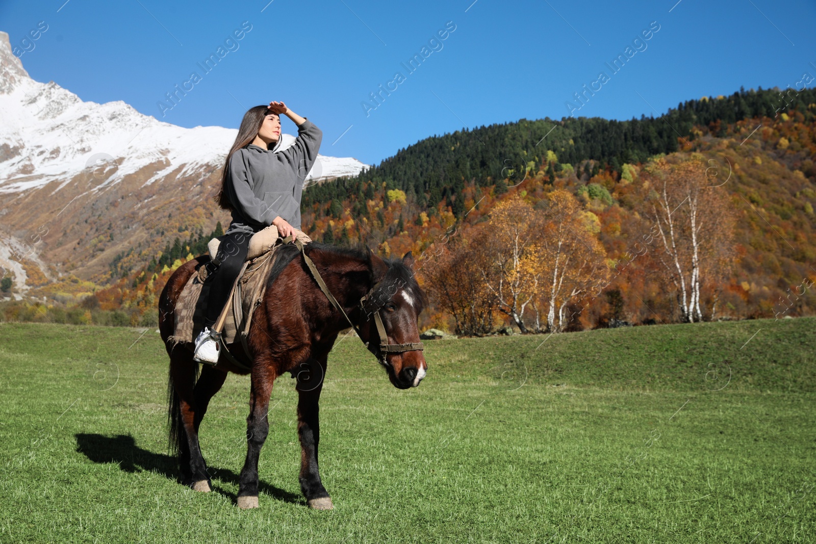 Photo of Young woman riding horse in mountains on sunny day. Beautiful pet