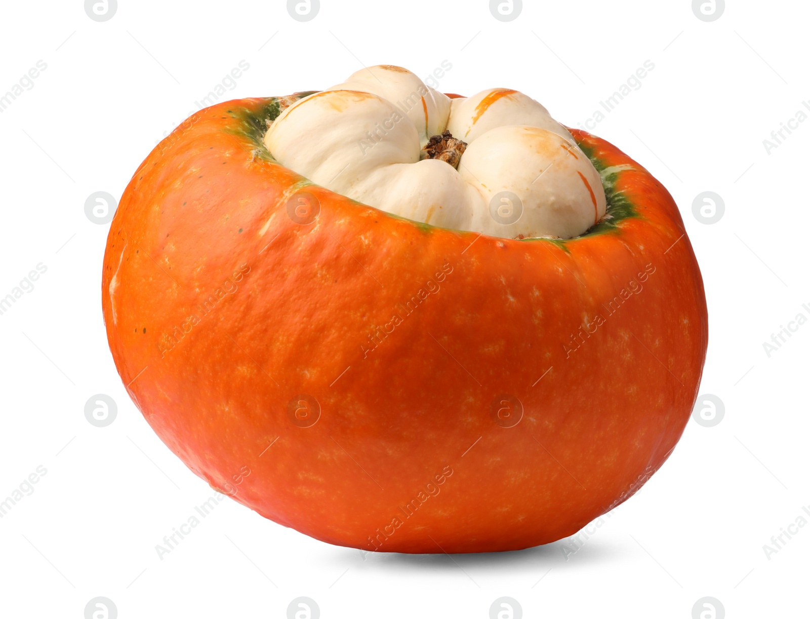 Photo of One fresh orange pumpkin isolated on white