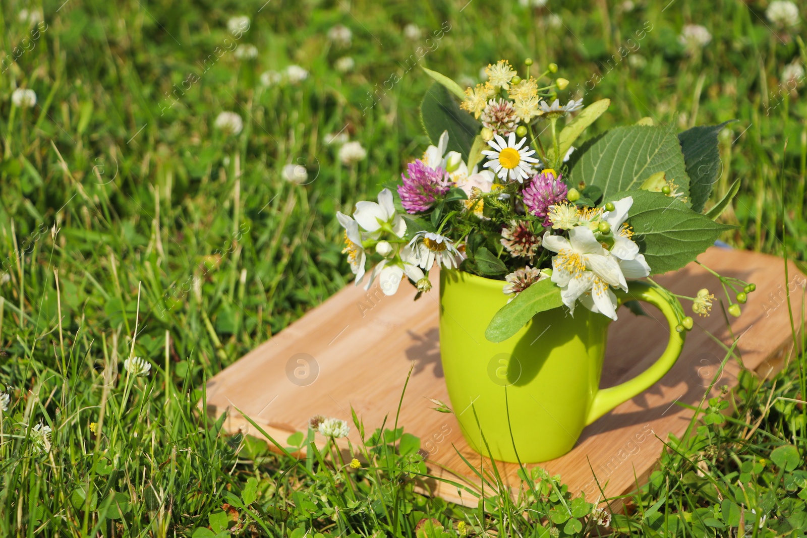 Photo of Green cup with different wildflowers and herbs on wooden board in meadow. Space for text