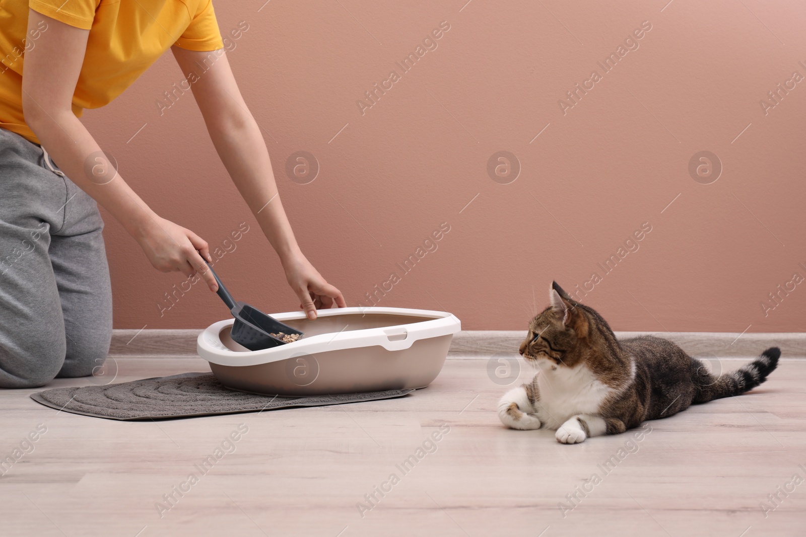 Photo of Woman cleaning cat litter tray at home, closeup