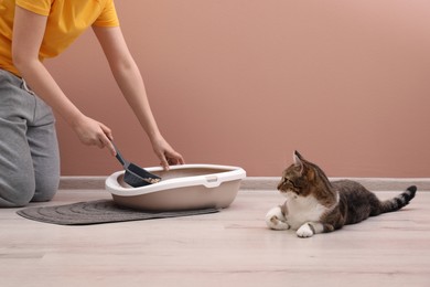 Photo of Woman cleaning cat litter tray at home, closeup