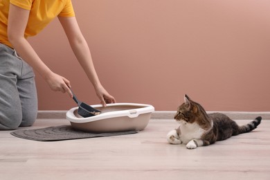 Woman cleaning cat litter tray at home, closeup