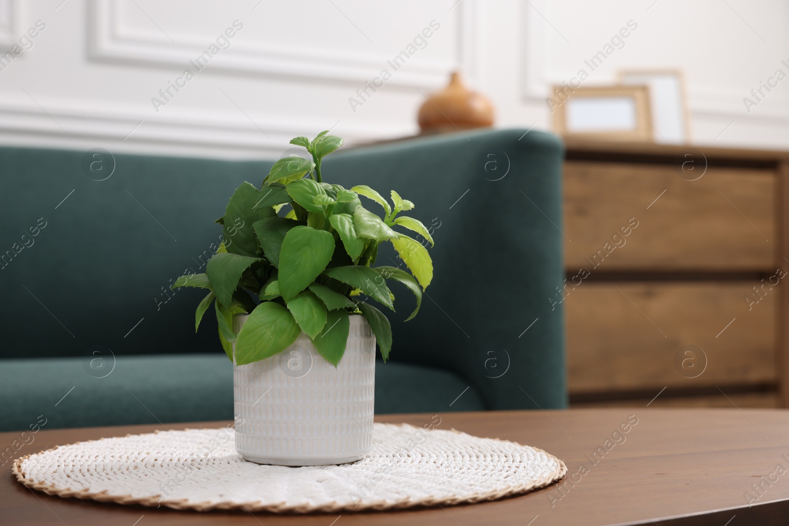 Photo of Green artificial plant in pot on wooden table indoors, space for text