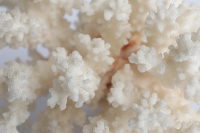 Beautiful exotic sea coral as background, closeup