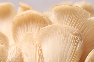 Photo of Fresh oyster mushrooms on grey background, macro view