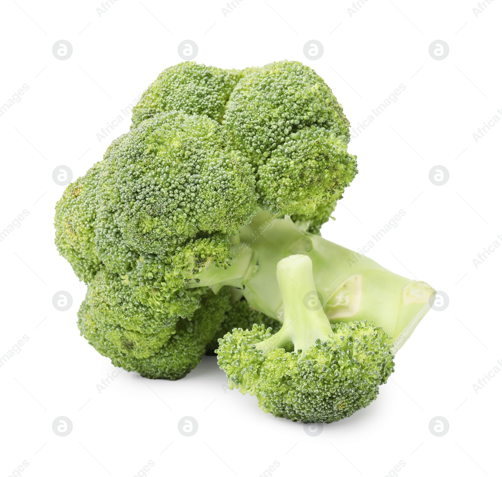 Photo of Fresh raw green broccoli isolated on white