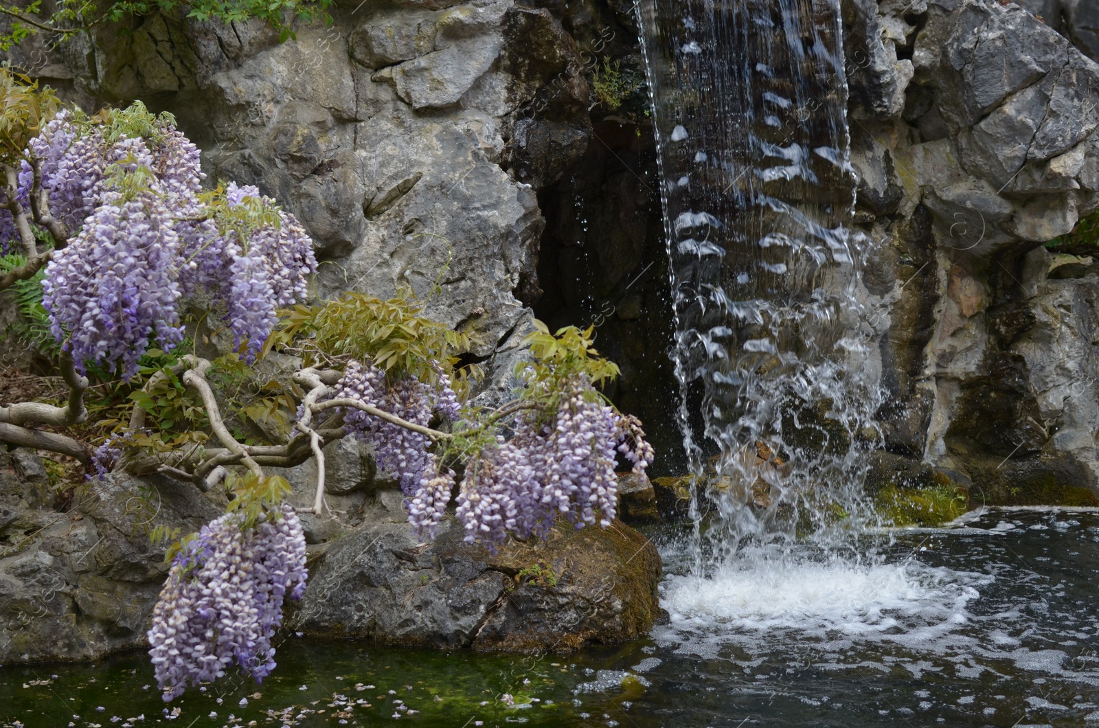 Photo of Beautiful view of waterfall, rocks and plants outdoors